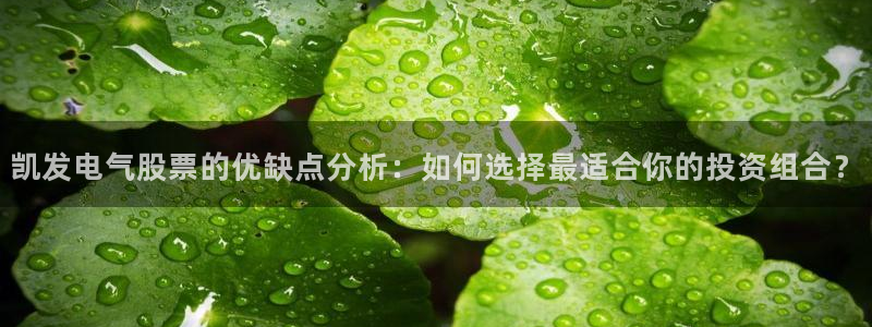 壹号大舞台有梦你就来：凯发电气股票的优缺点分析：如何选择最适合你的投资组合？