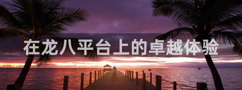 壹号app下载：在龙八平台上的卓越体验