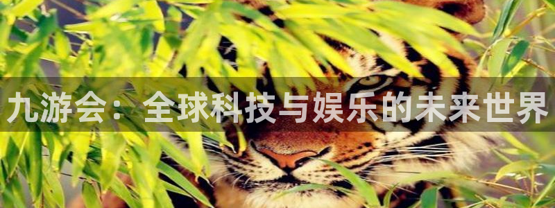 赢咖能退款吗：九游会：全球科技与娱乐的未来世界