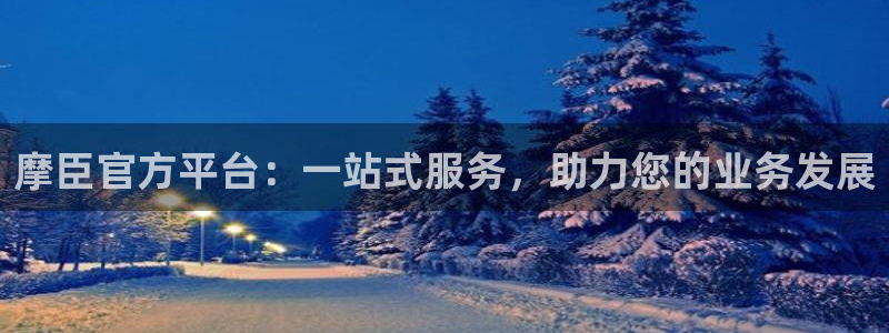 赢咖app：摩臣官方平台：一站式服务，助力您的业务发展