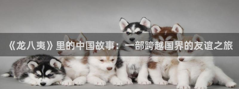 壹号大舞台下载链接：《龙八夷》里的中国故事：一部跨越国界的友谊之旅