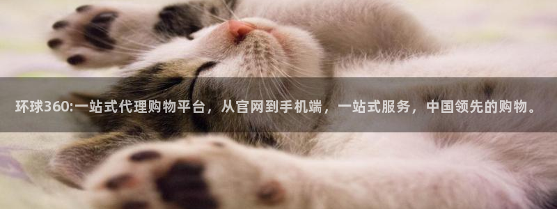 赢咖科技赋能,让平台更有趣：环球360:一站式代理购物平台，从官网到手机端，一站式服务，中国领先的购物。