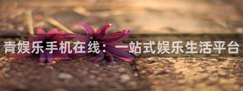 壹号电子娱乐app下载官网：青娱乐手机在线：一站式娱乐生活平台