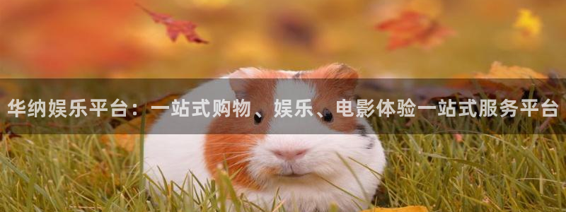 赢咖app网页入口：华纳娱乐平台：一站式购物、娱乐、电影体验一站式服务平台