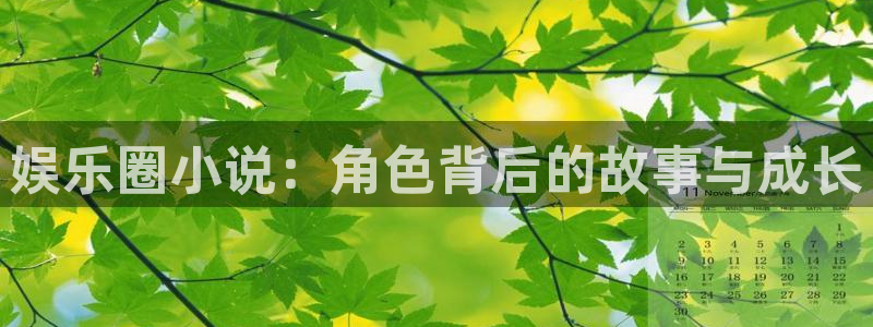 赢咖app官网下载苹果：娱乐圈小说：角色背后的故事与成长