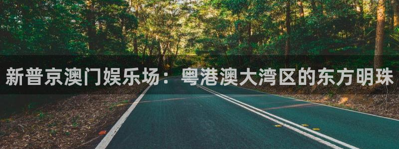 壹号大舞台28国际大舞台：新普京澳门娱乐场：粤港澳大湾区的东方明珠