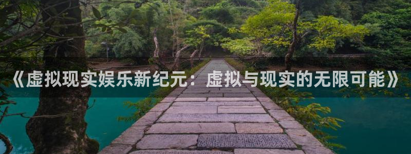 赢咖-ng大舞台,有梦你就来：《虚拟现实娱乐新纪元：虚拟与现实的无限可能》