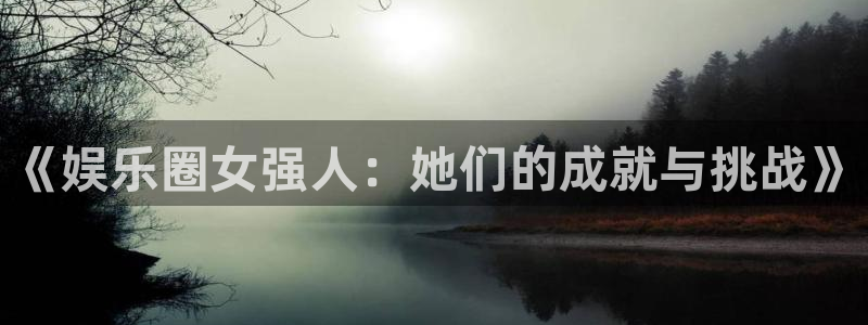 壹号大舞台娱乐传媒：《娱乐圈女强人：她们的成就与挑战》