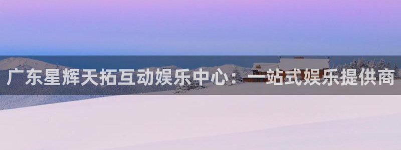 赢咖,com：广东星辉天拓互动娱乐中心：一站式娱乐提供商