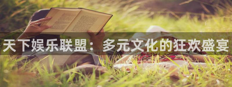 壹号大舞台,有梦你就来：天下娱乐联盟：多元文化的狂欢盛宴