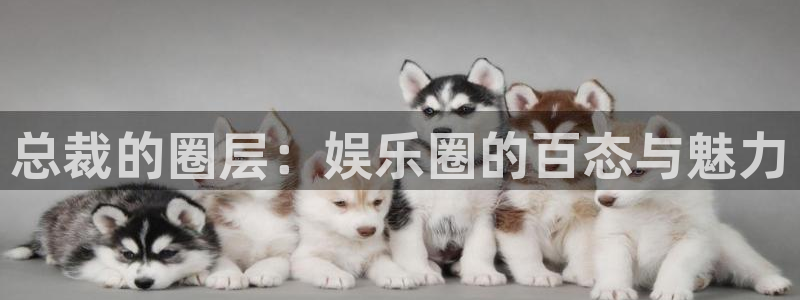 赢咖app下载官网：总裁的圈层：娱乐圈的百态与魅力