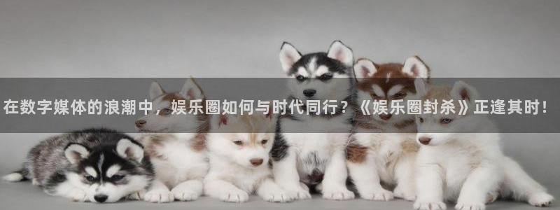 赢咖app下载：在数字媒体的浪潮中，娱乐圈如何与时代同行？《娱乐圈封杀》正逢其时！