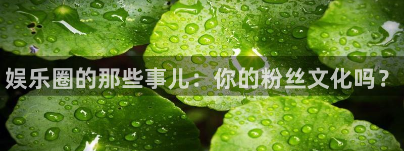 壹号大舞台下载：娱乐圈的那些事儿：你的粉丝文化吗？