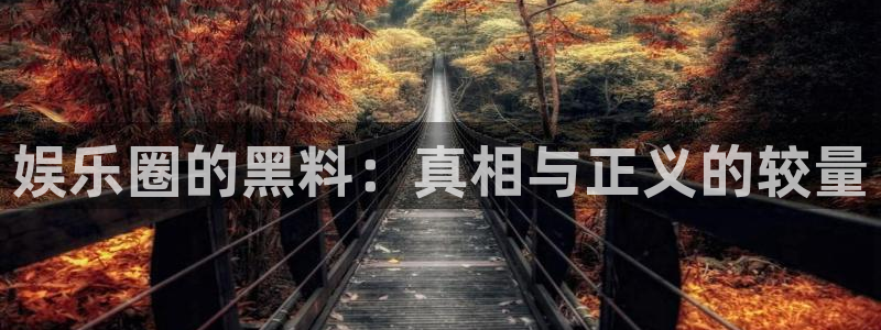 壹号app下载苹果：娱乐圈的黑料：真相与正义的较量