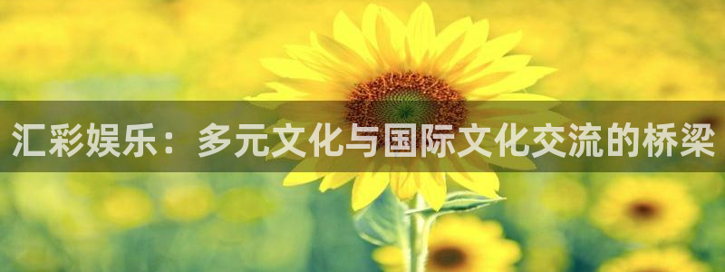 赢咖.com：汇彩娱乐：多元文化与国际文化交流的桥梁