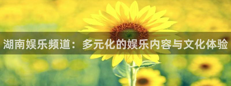 赢咖怎么下载：湖南娱乐频道：多元化的娱乐内容与文化体验